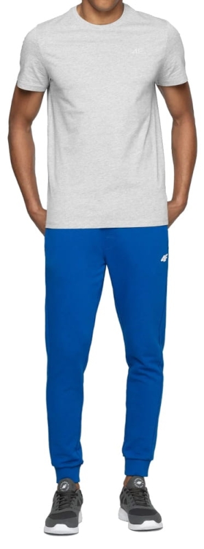 4F T-Shirt Męski Szary