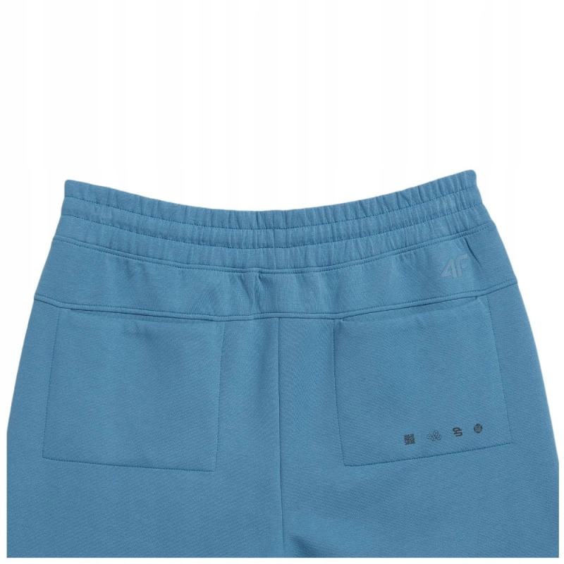 4F-Spodnie-Meskie-Dresowe-TTROM137-XXL-EAN-GTIN-5904698193516.jpg