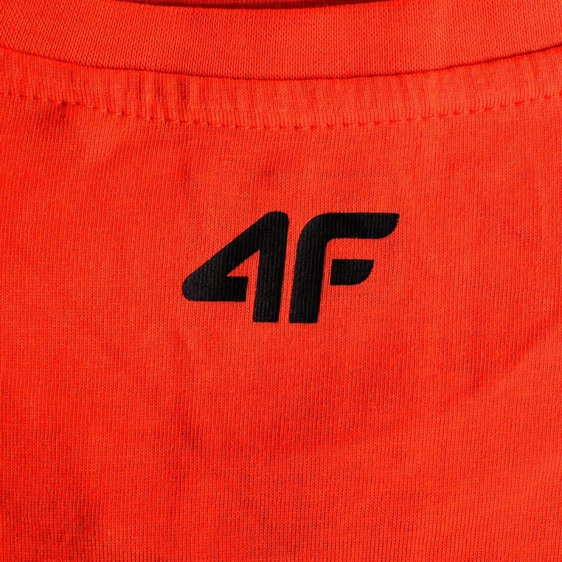 4F-T-shirt-Koszulka-Bawelna-100-TTSHM487-XL-Plec-Produkt-meski.jpg