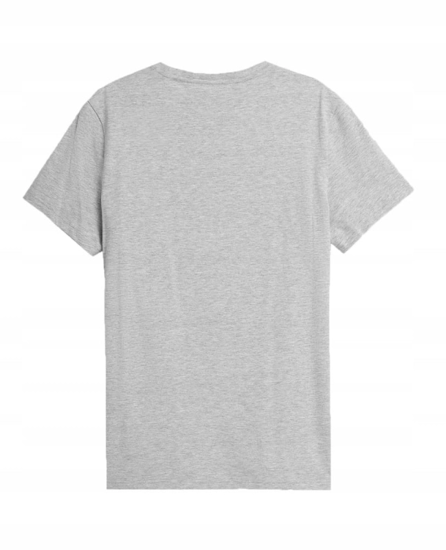 4F-T-shirt-Koszulka-Meska-TTSHM536-SZARA-3XL-Model-TTSHM536.jpg