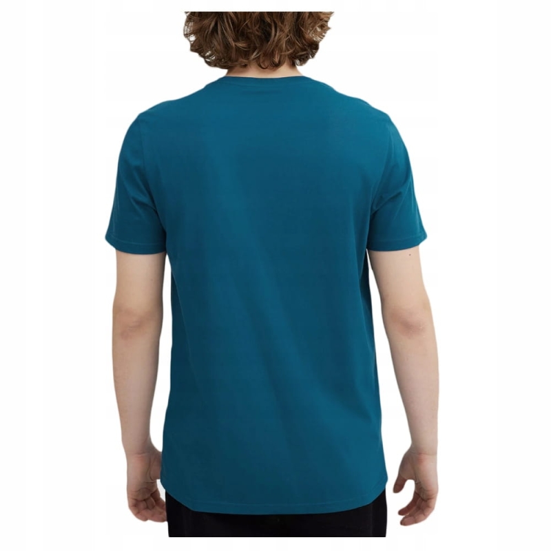 4F T-shirt Koszulka Meska Sportowa z tyłu na Modelu