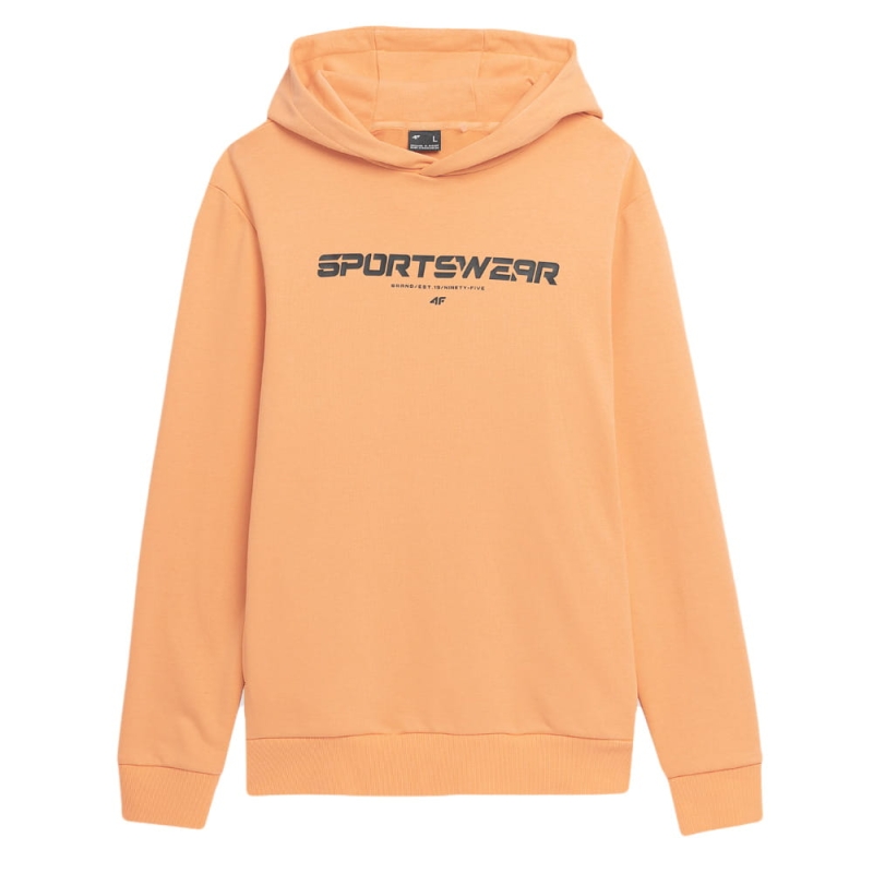 4F-Bluza-Meska-z-Kapturem-Sportowa-TSWSM266-L-Model-TSWSM266.jpg