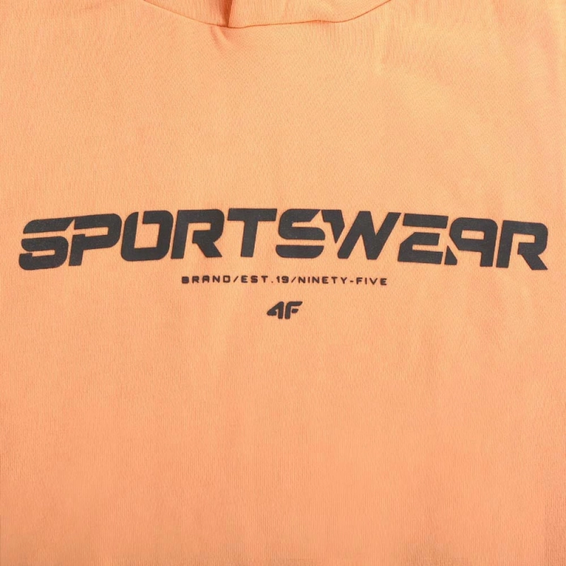 4F-Bluza-Meska-z-Kapturem-Sportowa-TSWSM266-L-Material-dominujacy-bawelna.jpg