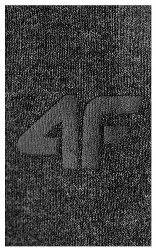 4F-Spodnie-Meskie-Dresowe-Joggery-TTROM223-L-Rozmiadsdr-L.jpg