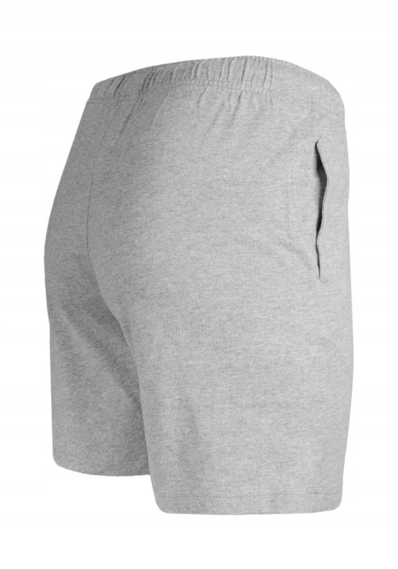 CHAMPION-Spodenki-Meskie-SZARE-217436-S-Marka-Champion.jpg