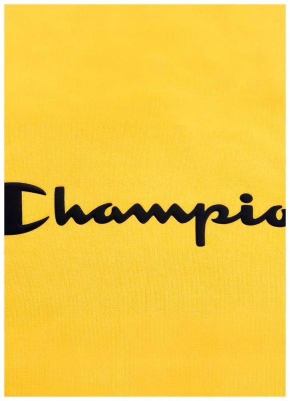 CHAMPION-Bluza-Meska-218528-z-kapturem-L-Marka-Champion.jpg