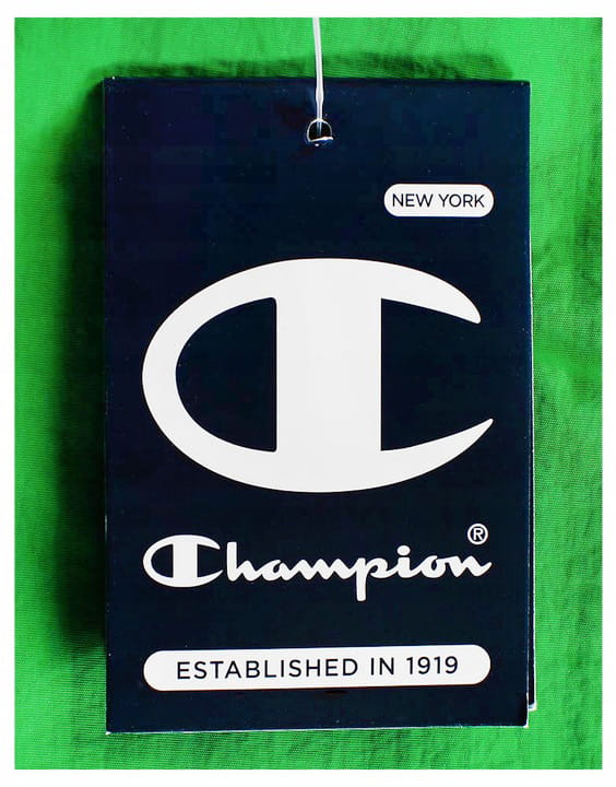 CHAMPION-Kapielowki-Meskie-216069-Zielone-L-Model-216069.jpg