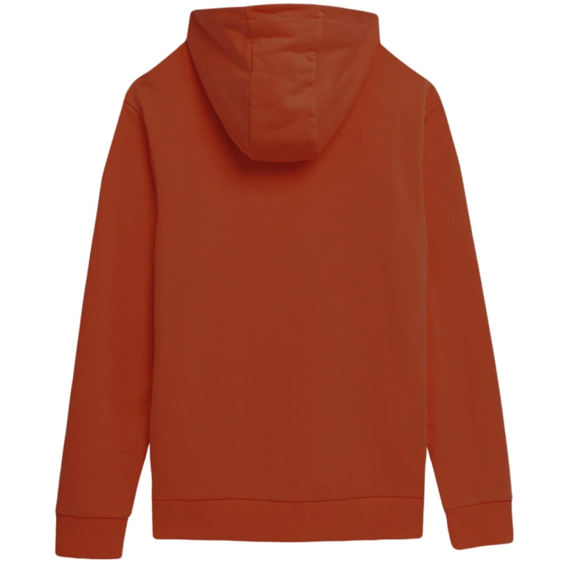 4F-Bluza-Meska-z-Kapturem-Sportowa-TSWSM266-2XL-Model-TSWSM266.jpg