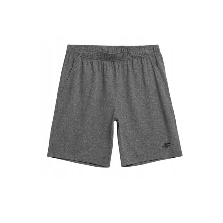 4F-Spodenki-Meskie-Funkcyjne-SKMF350-SZARE-XXL-Marka-4F.jpg