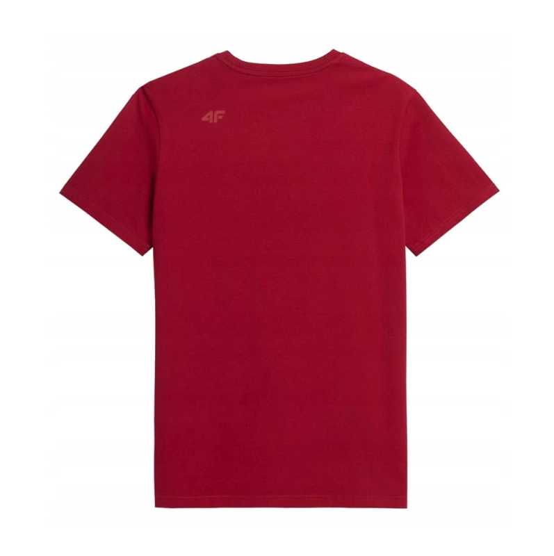 4F-T-shirt-Koszulka-Meska-TSM019-L-Wzor-dominujacy-print-nadruk.jpg