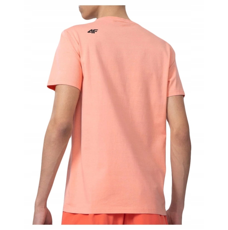 4F T-shirt Koszulka Meska TSM043 LOSOSIOWA z tyłu na modelu