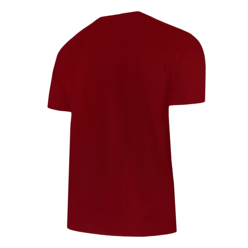 CHAMPION-Koszulka-Meska-217882-Bordowa-XXL-Model-217882.jpg
