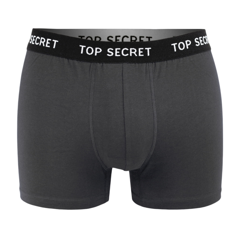 Szara bokserka Top Secret prezentowana osobno, widok z przodu.