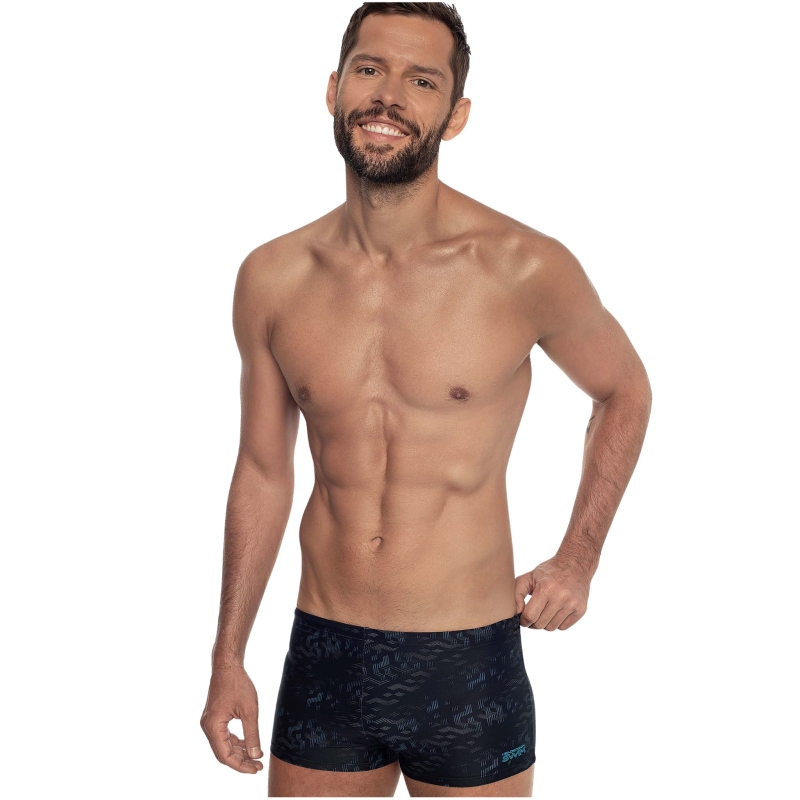 Model