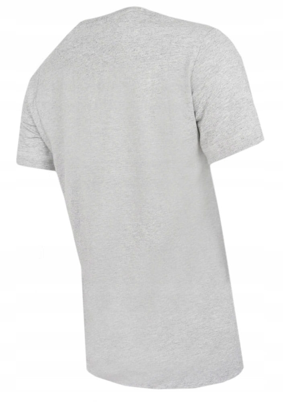 CHAMPION T-shirt Damski 113223 SZARY z tyłu