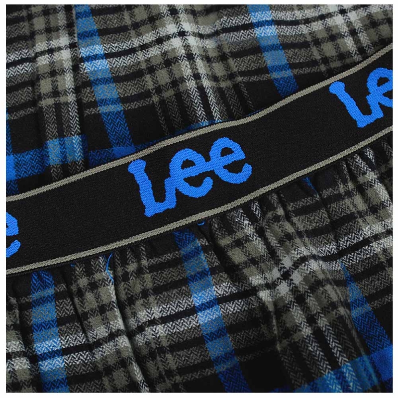 Detal pasa z logo Lee – spodnie w kratę
