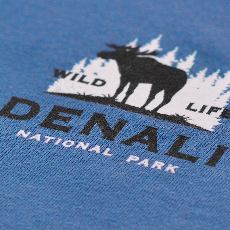 Cornette piżama męska niebieska z nadrukiem Denali