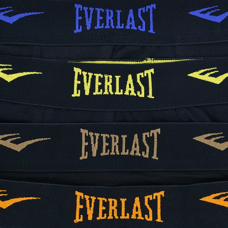Kolorowe logotypy Everlast na gumie